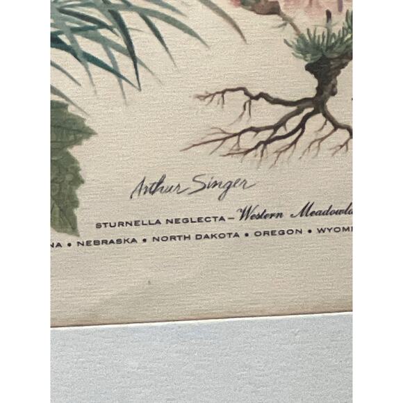 Vtg Meadowlark Lithograph Print Arthur Singer Flora Fauna 14x16 Framed Botanical - Picture 3 of 7